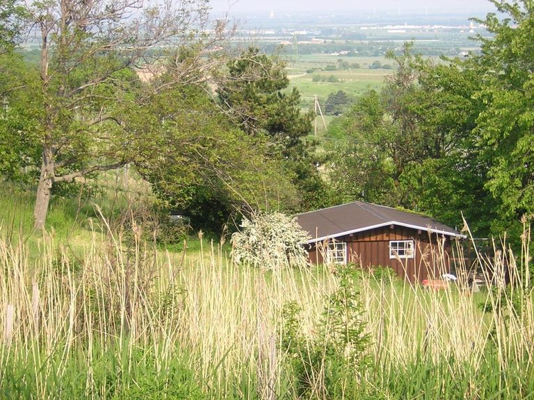 die "Almhütte" im Sommer