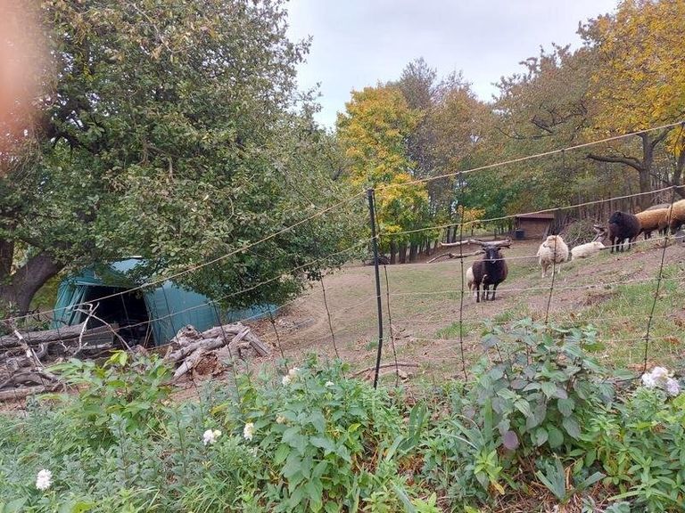 Unterer Teil des Grundstücks