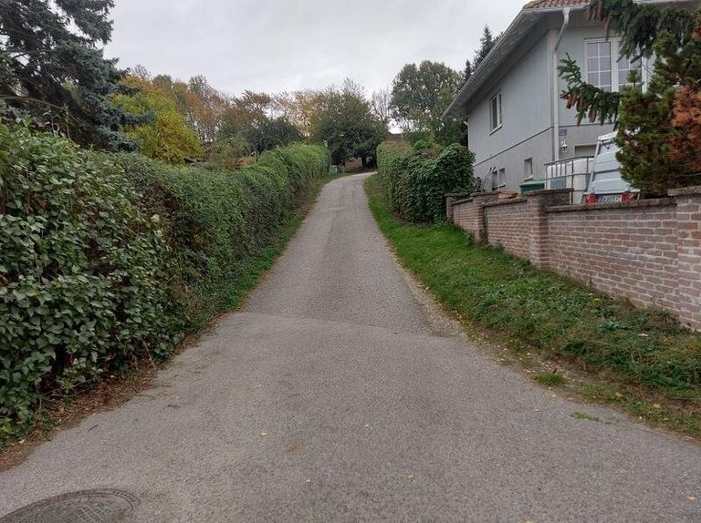 Zufahrt zum Grundstück. Dieses liegt links oben