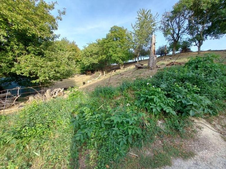 Oberer Teil des Grundstücks