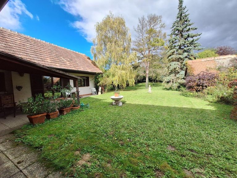 Blick in den weitläufigen Garten