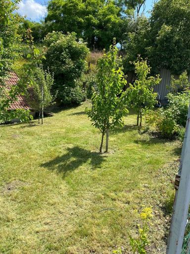 Nasch- und Obstbaumgarten hinter dem Weinkeller