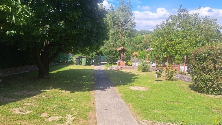 Garten mit Herzkirschbaum