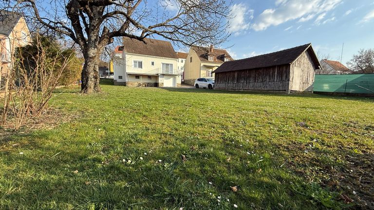 Frühling im Garten