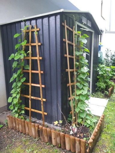 18 Gartenhaus ETW 3004