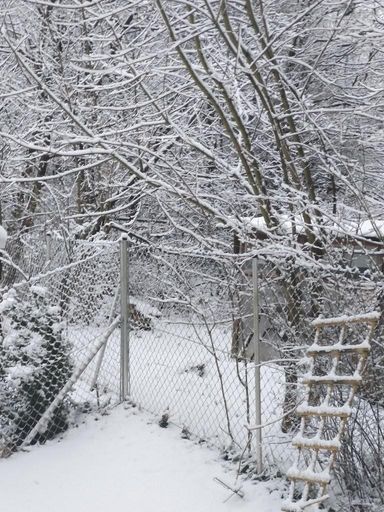 18 Garten im Winter ETW 3004