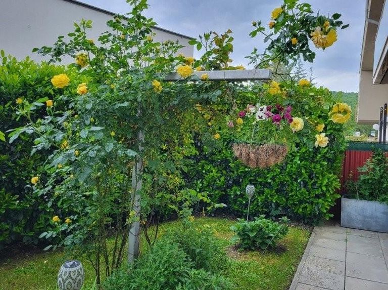 19 Rosengarten  ETW 3004