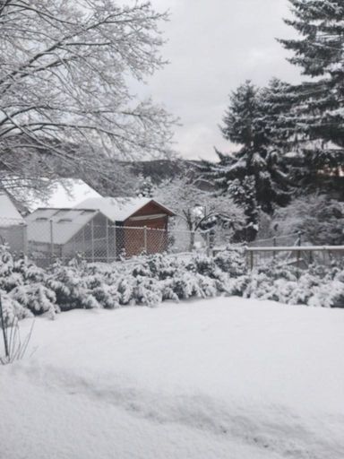 8 Winterimpression ETW 3004