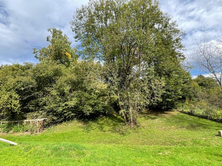 östlicher Teil des Grundstücks