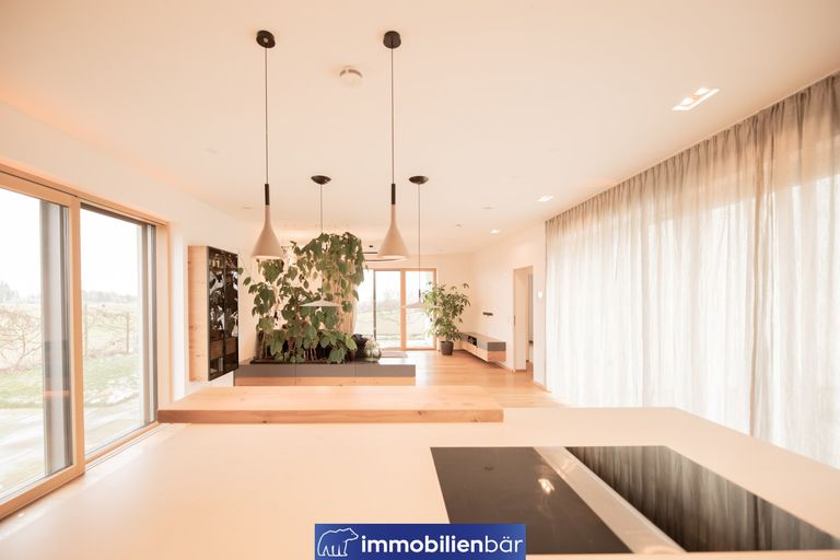 Ausblick Küche Wohnraum