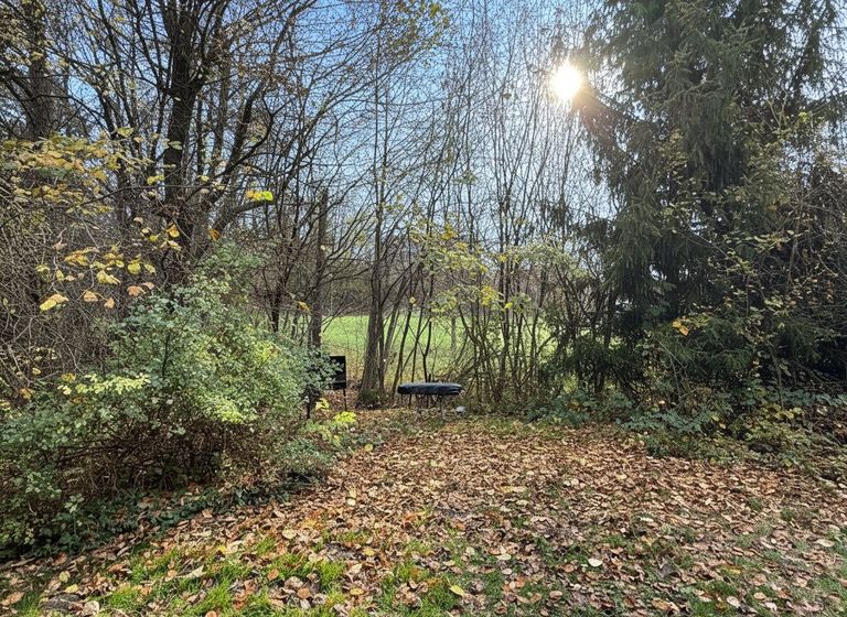 Grillplatz im Garten