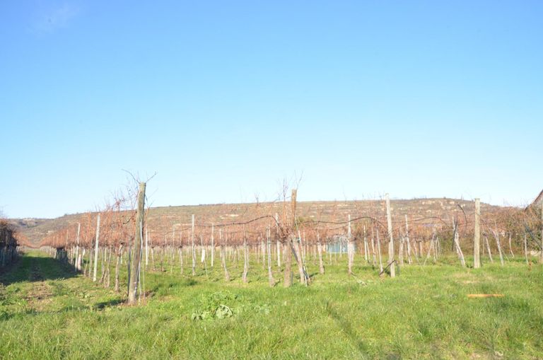 Grundstück Ansicht 1