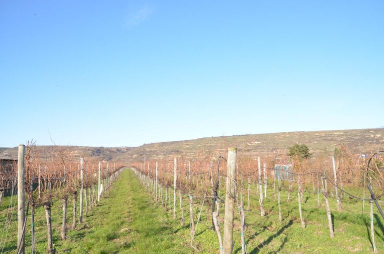 Grundstück Ansicht 2