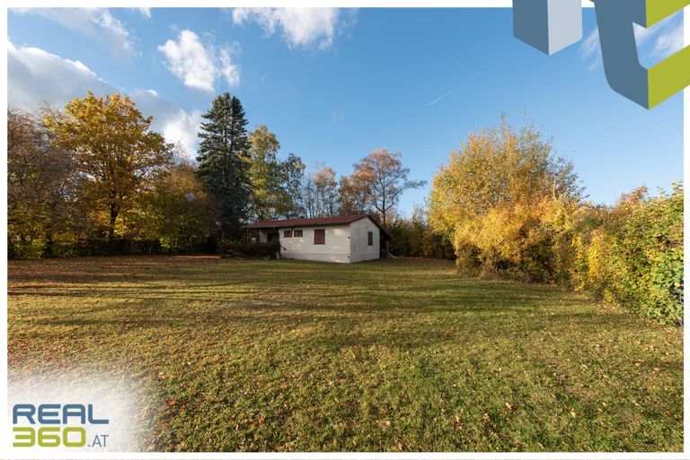 Großzügiges Grundstück mit altem Bewuchs