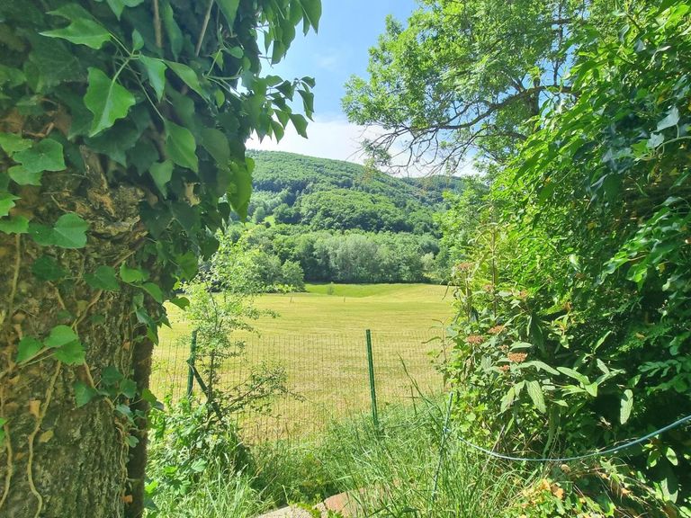 Ausblick Terrasse