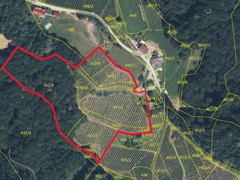 Gis-III mit ungefähren Grenzverlauf