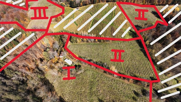 Gesamte Liegenschaft ungefährer Grenzverlauf