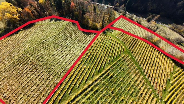 Zone II ungefährer Grenzverlauf