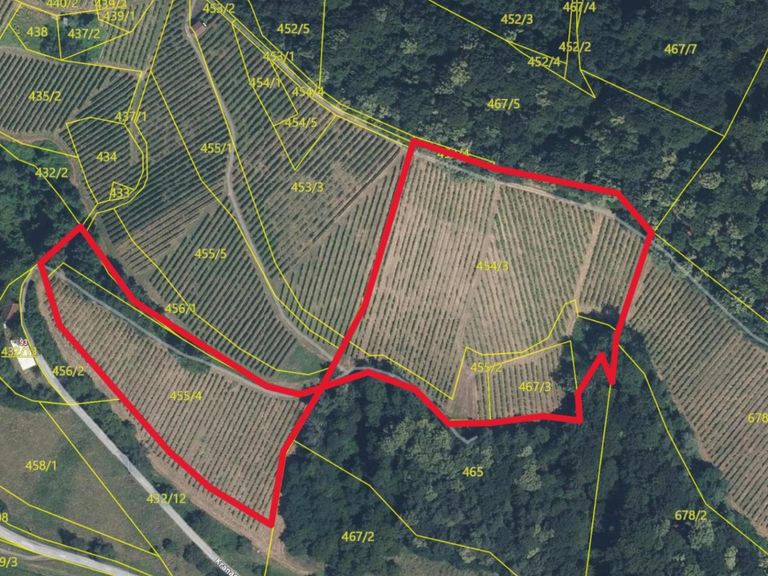 Gis-II mit ungefähren Grenzverlauf