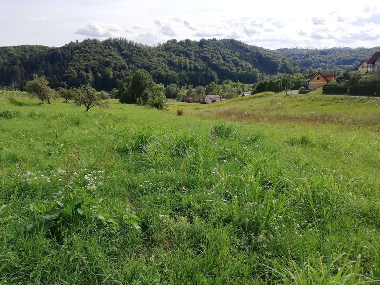 Bild 14
