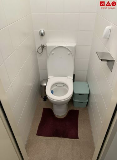 WC (dezent mit KI bearbeitet)