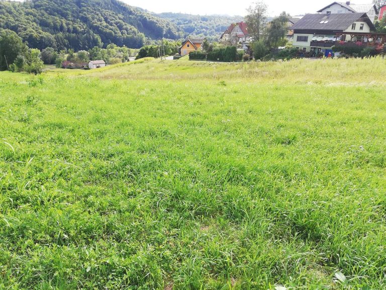 Bild 16