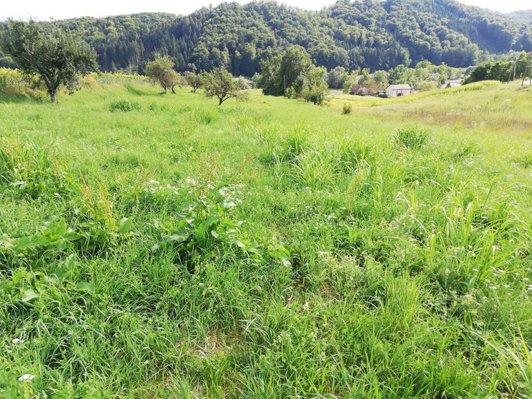 Bild 13