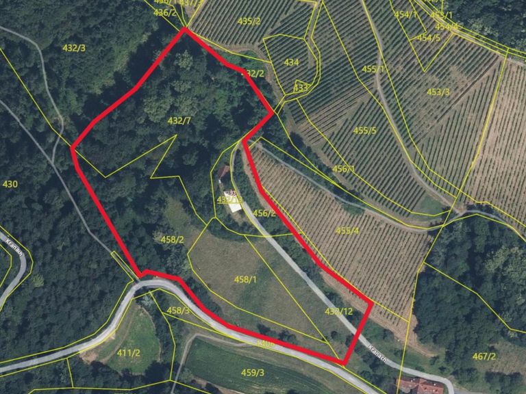 Gis-I mit ungefähren Grenzverlauf