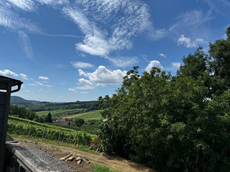 Blick von der Terrasse