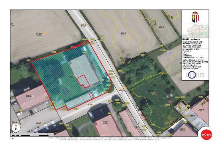 Lageplan - Wohnung + Carport markiert