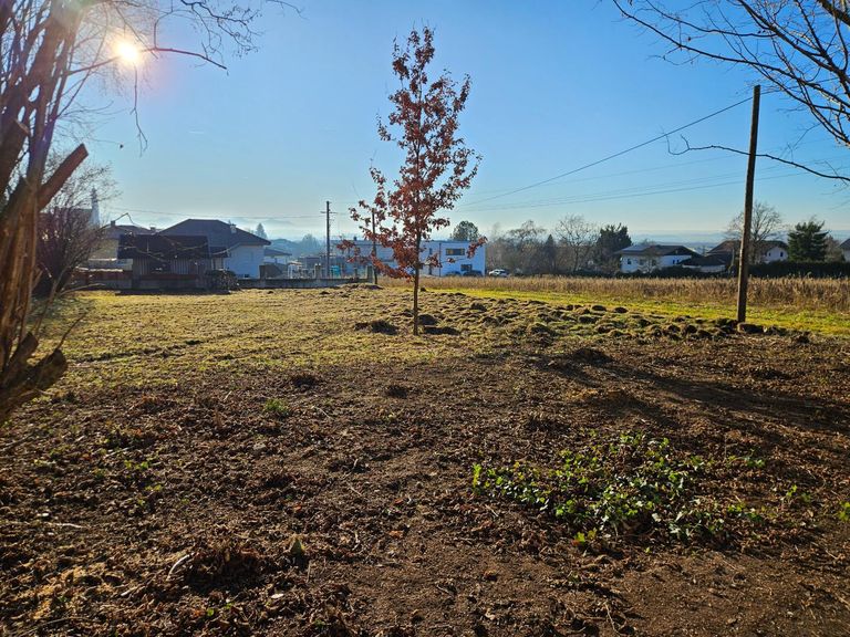 Ausblick vom Ferienhaus
