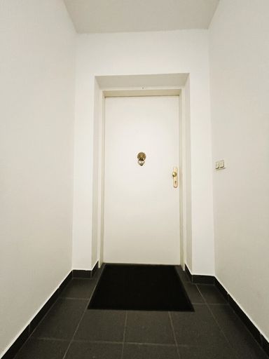 Wohnungseingangstüre