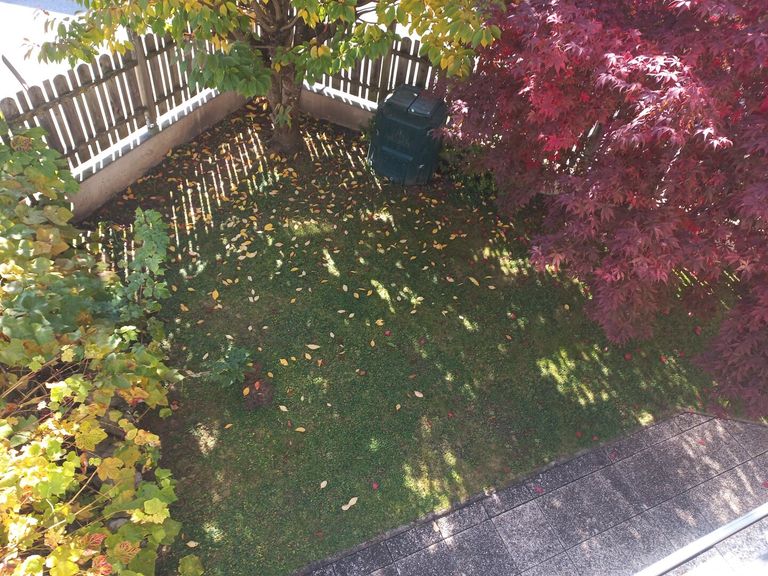 Blick vom Südbalkon in den Garten