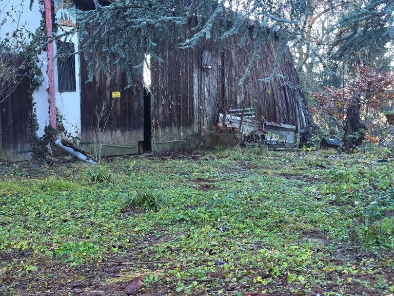 Scheune (Angebot vorhanden)