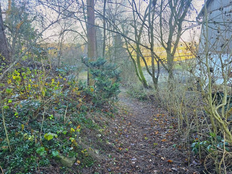 Garten mit Baumbestand