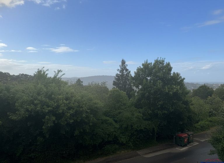 Ausblick
