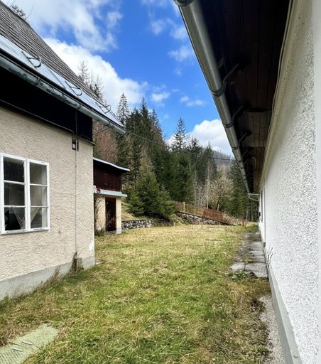 Rückseitiger Garten