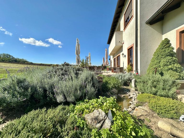 Außenbereich Kräutergarten mit Terrasse