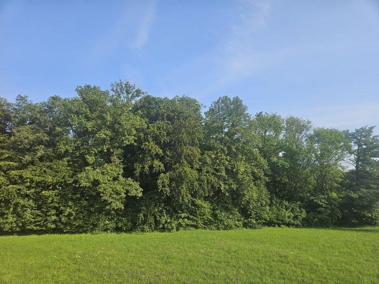 K1024_20250806_172638