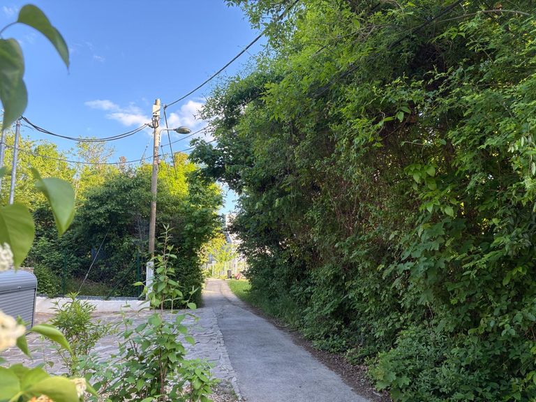 Der Weg zu Ihrem Haus