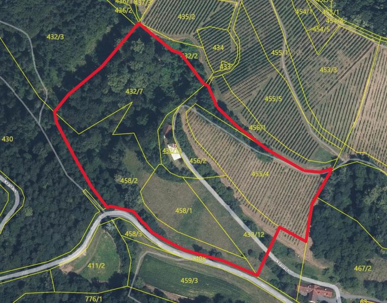 Gis-I +Teile vom Weingarten