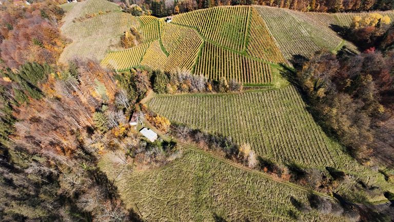 Gesamte Liegenschaft