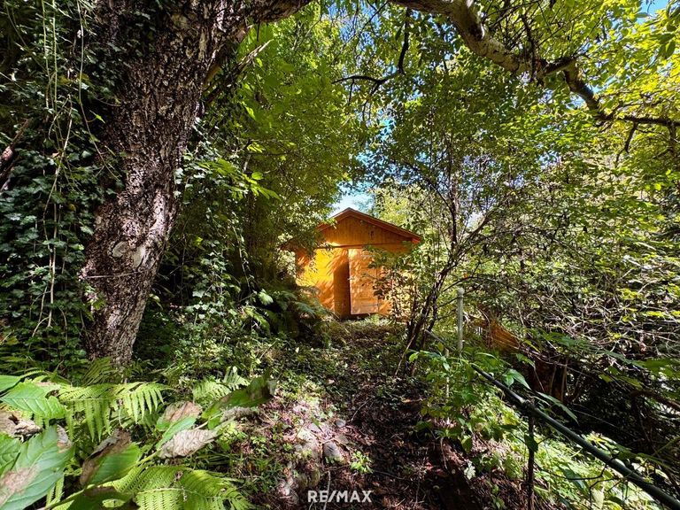 Gartenhütte Hinteransicht