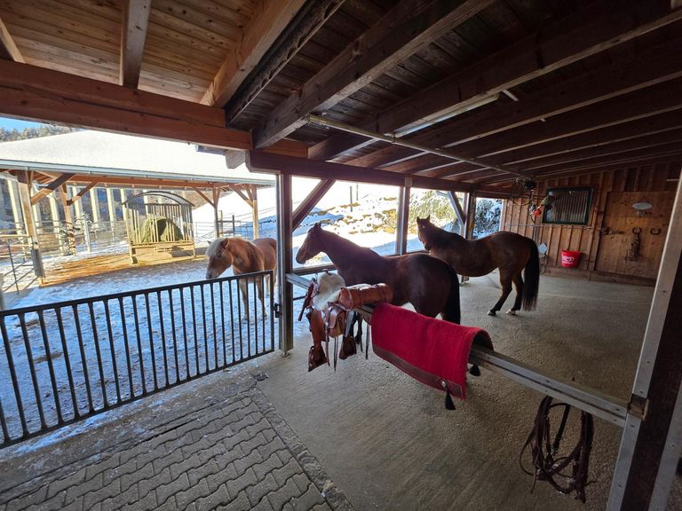 Überdachung zum Aufsatteln mit elektrischer Winde