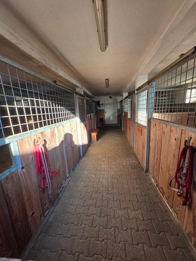 Boxen im Stall Erdgeschoss