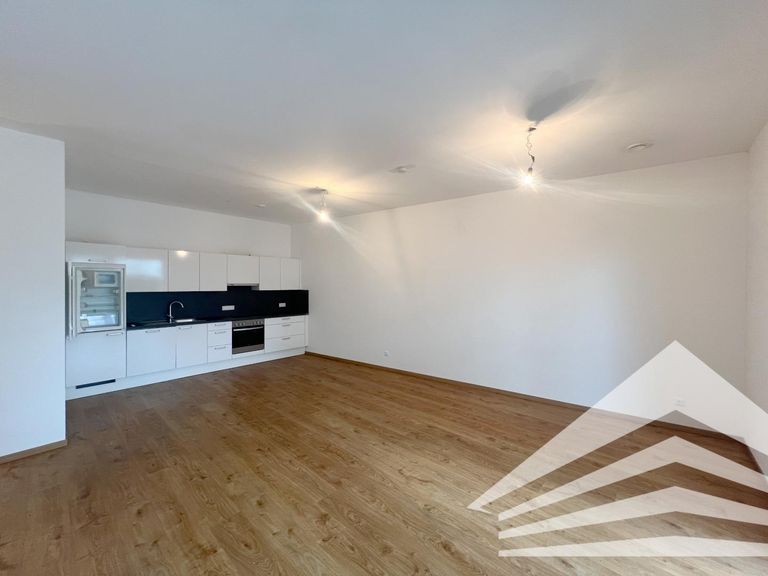 Wohn-/Esszimmer inkl. Küche