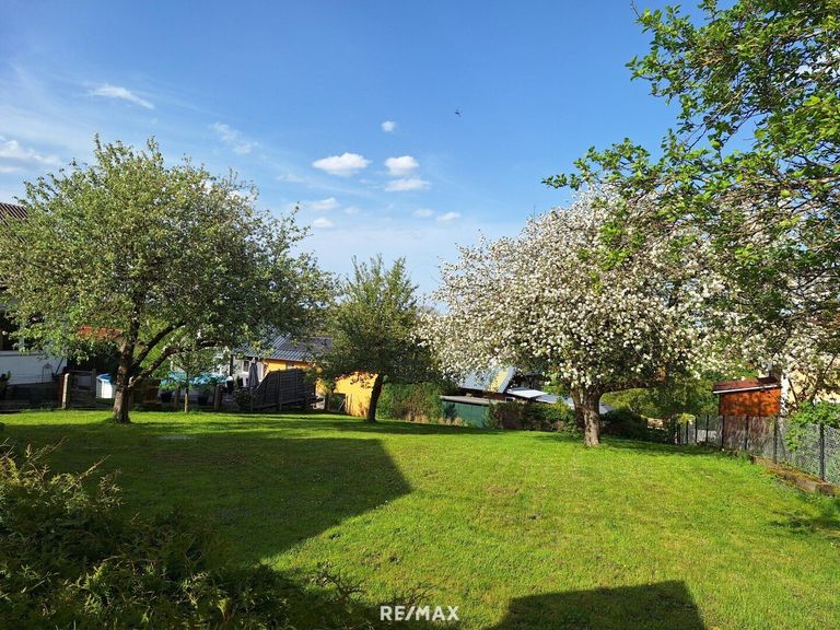 Grund mit altem Baumbestand