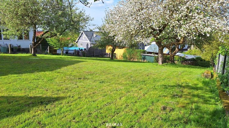 Blick von der Einfahrt über das Grundstück