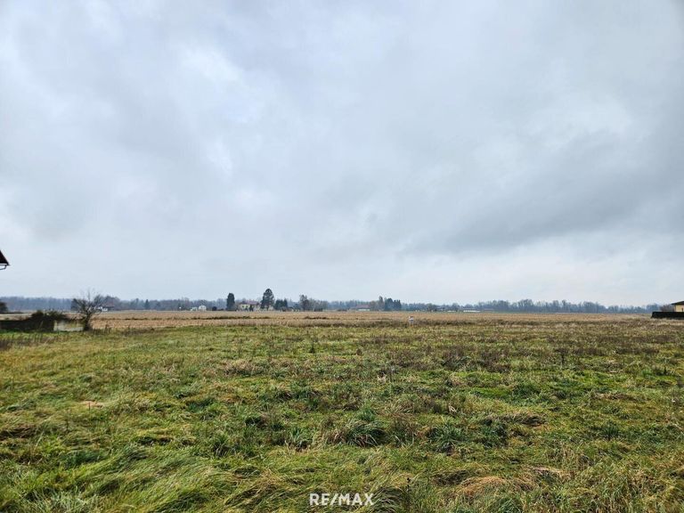 Blickrichtung Norden