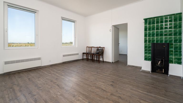 Wohnzimmer / Schlafzimmer